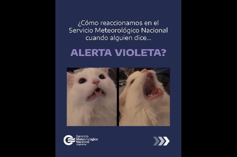 Los memes con los que el SMN aclaroacute la confusioacuten entre las alertas y advertencias por niebla